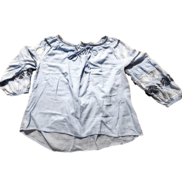Soft Blue Top with Embroidered Detail Plus 0X - Picture 1 of 8